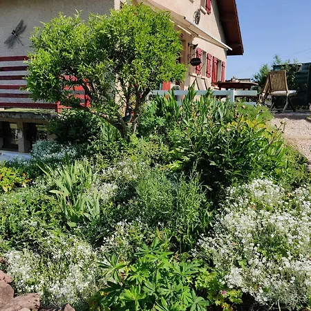 Cocon Nature * La Bourgonce