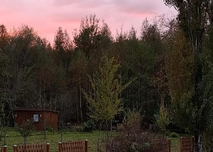 Cocon Nature 民宿 La Bourgonce